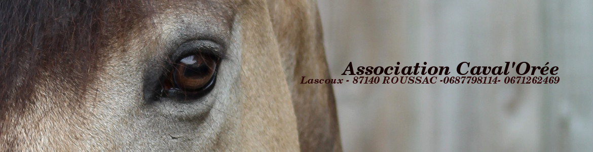 Association Caval'Orée